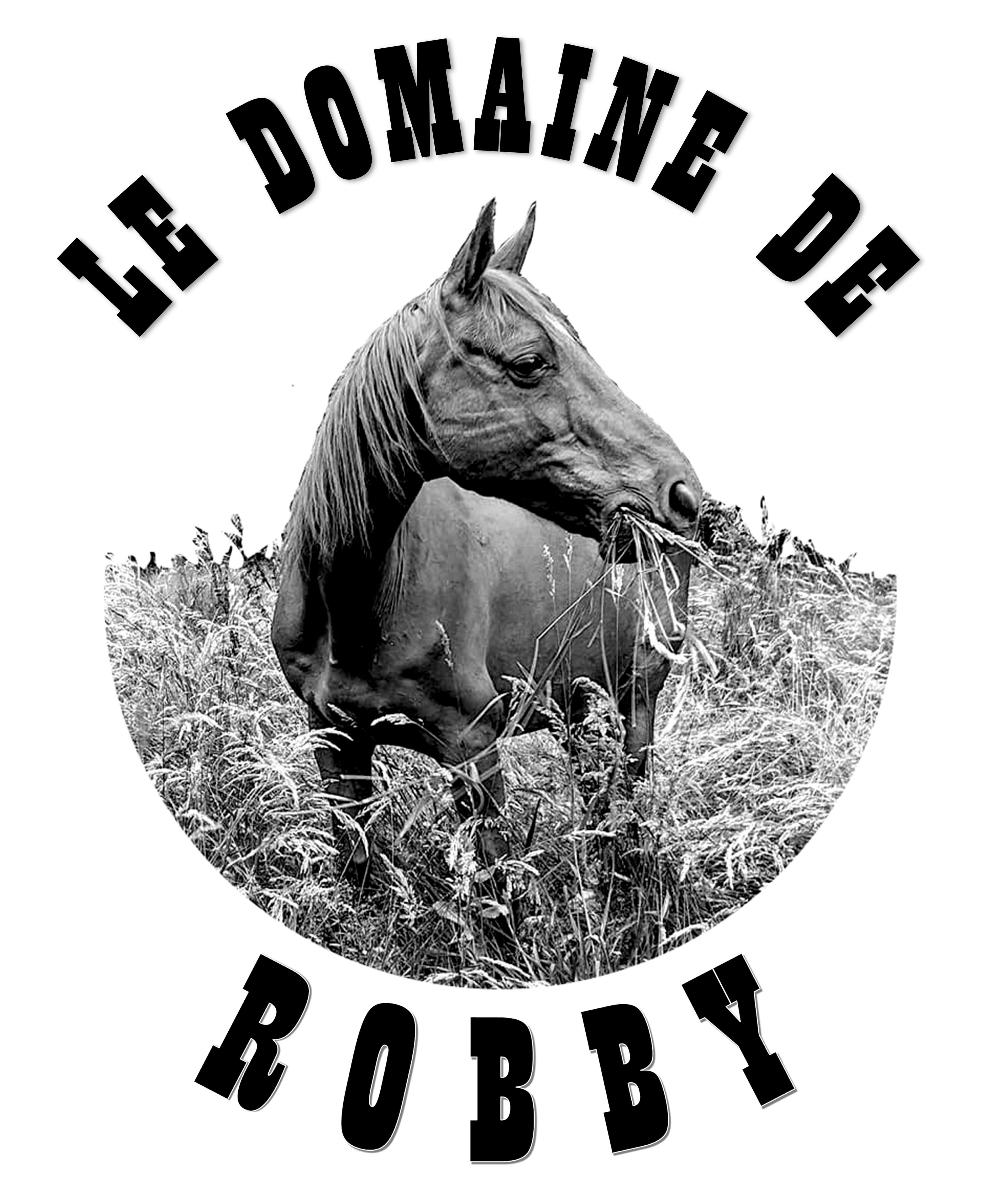 Portrait noir et blanc d'un cheval broutant, entouré du texte « Le Domaine de Robby ».